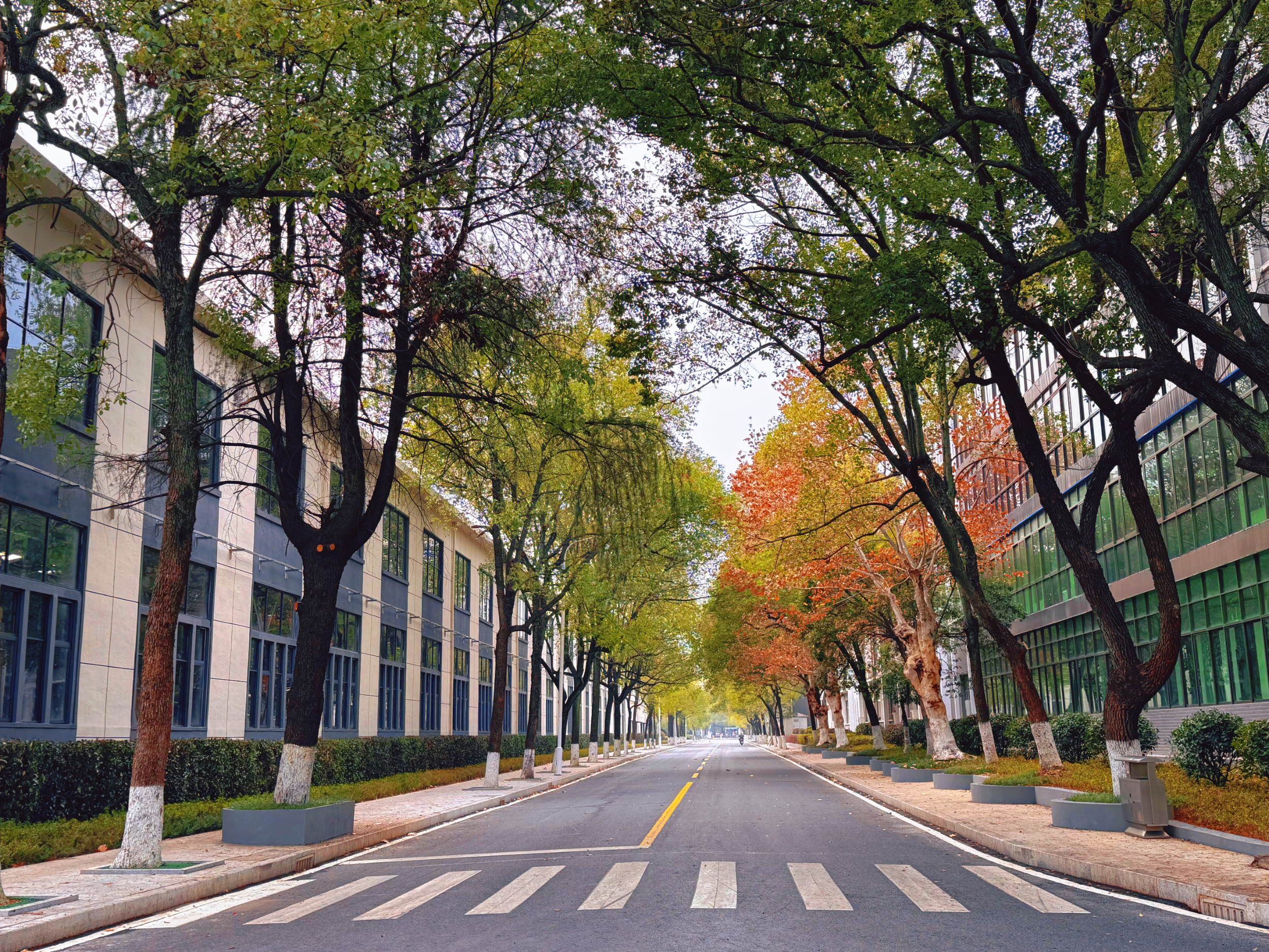 《中國(guó)環(huán)境網(wǎng)》衡鋼獲評(píng)國(guó)家級(jí)綠色工廠(chǎng)